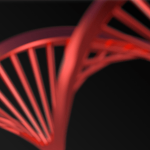 Carthago Dna Square